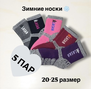 Носки SPEED WIN AlIASKA 5 пар мультиколор 20-25