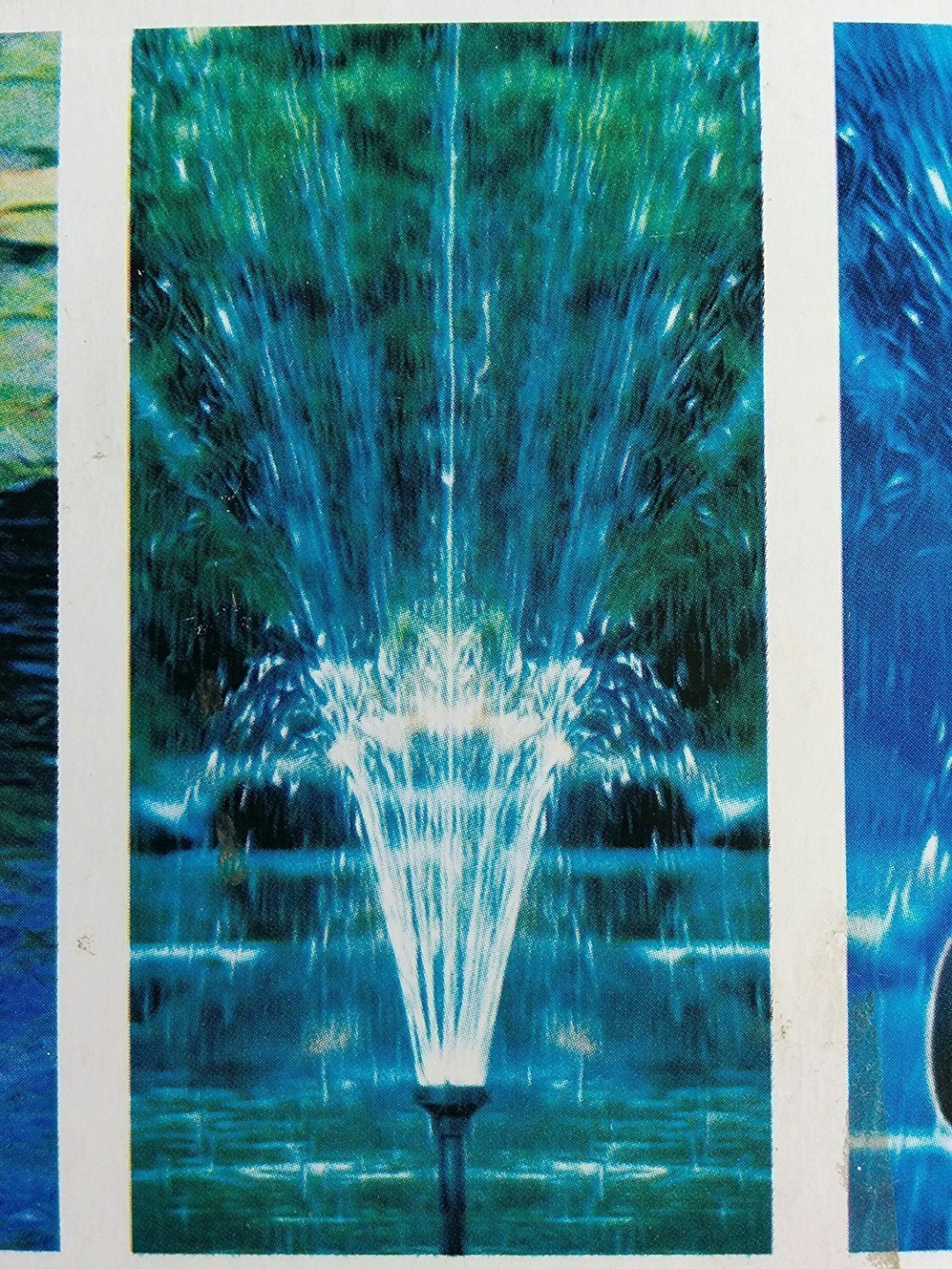 Фото 4