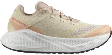Кроссовки Salomon Aero Glide 3 Grvl L47812500 мультиколор