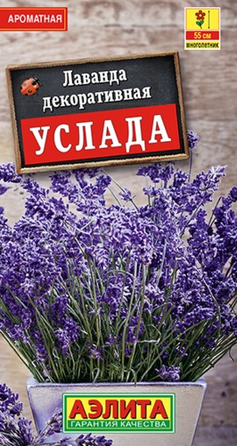 Аэлита лаванда Услада