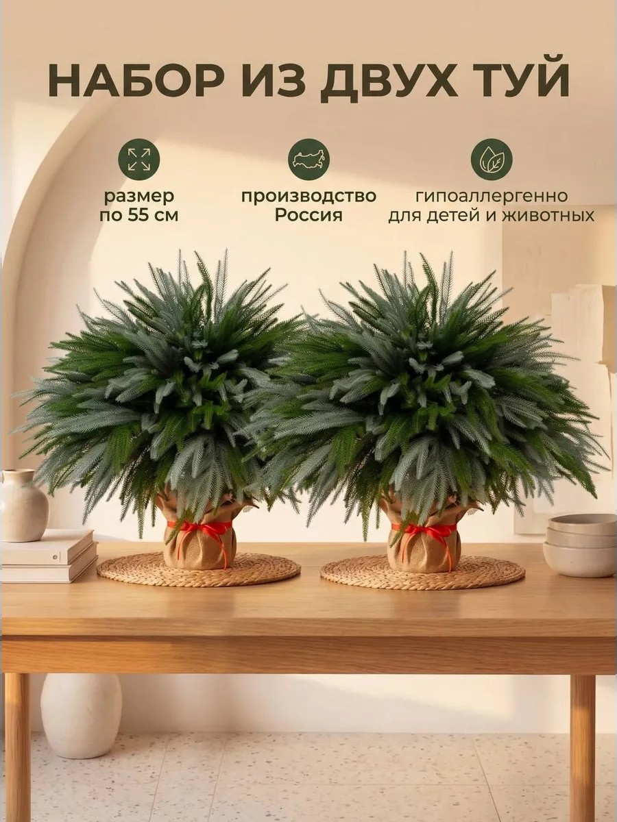 Дерево ель 55 см, Familytree