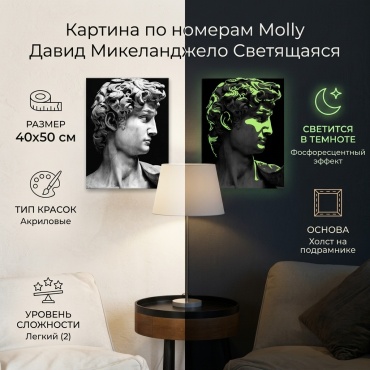 Картина по номерам Molly Давид Микеланджело 40 см x 50 см