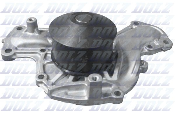 Насос DOLZ H219