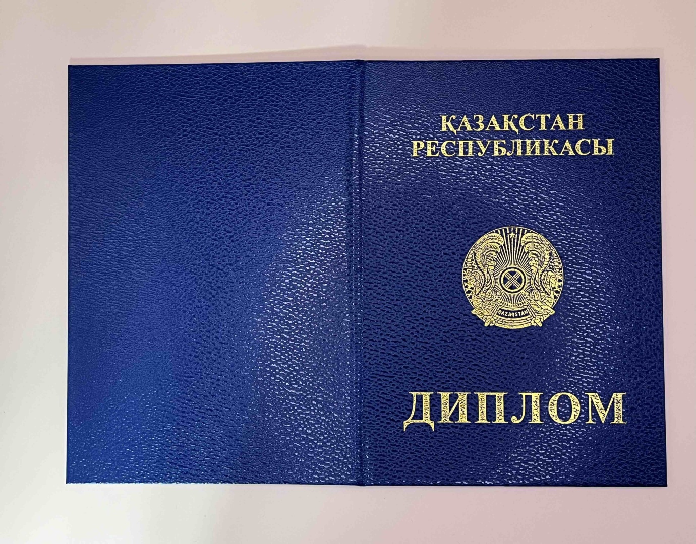 Обложка для документов, поливинилхлорид