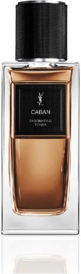 Yves Saint Laurent Caban Fascinating Tonka парфюмерная вода EDP 125 мл, для женщин