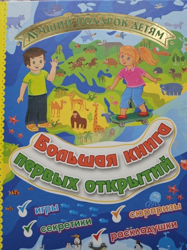 Н.Н.Литвиненко: Большая книга первых открытий