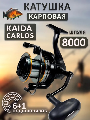 Kaida безынерционная Carlos