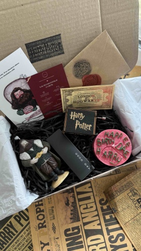 Harry Potter С днём рождения Гарри сувенирный набор