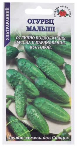 Золотая сотка Алтая огурец малыш