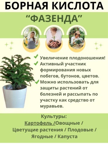 Фазенда порошок Борная кислота 0.1 кг
