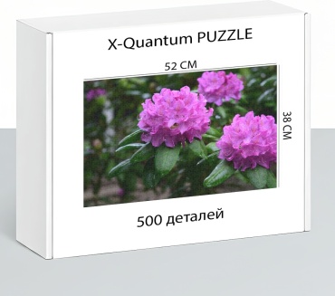 X-Quantum puzzle_bpbfxu49wg классический 500 деталей