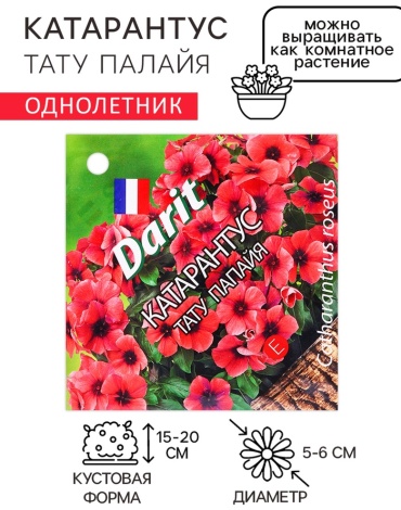 Агроуспех катарантус "Тату Палайя"