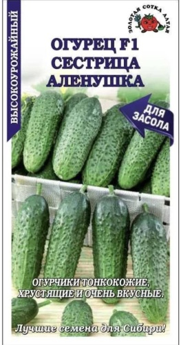 Золотая сотка Алтая огурец Сестрица Аленушка
