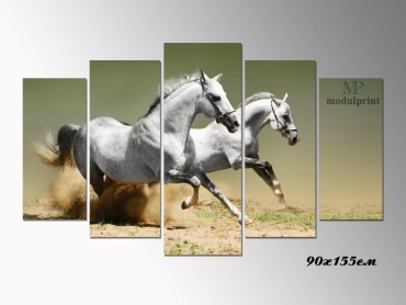 MP modulprint модульная картина Два белых коня 155x90 см
