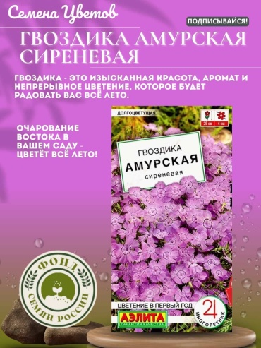 Аэлита гвоздика Амурская сиреневая