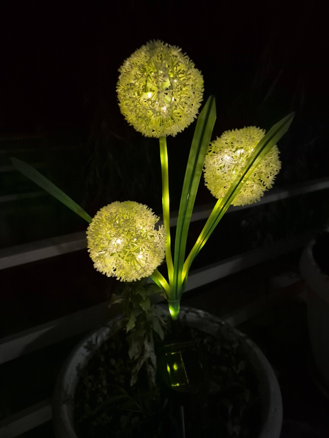 Фото 3