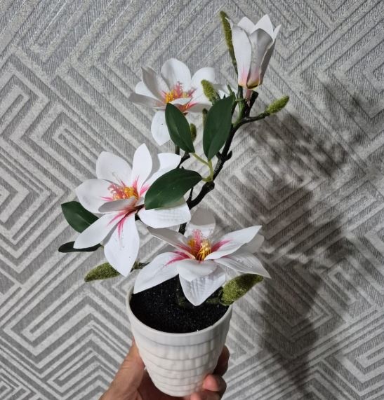 Фото 3