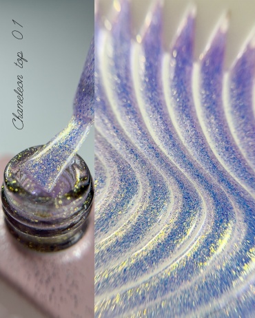 Galaxy Chameleon top 01, 14г