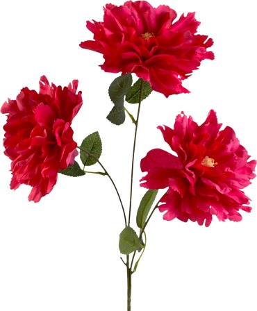 Фото 3