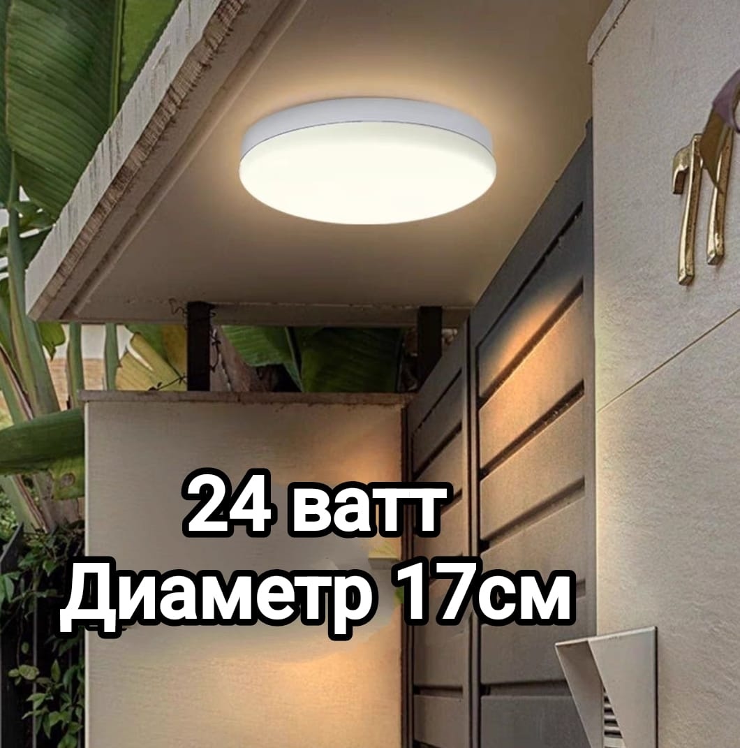 Светильник настенно-потолочный LOBRUN LED 24 Вт белый