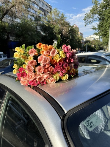 Фото 4