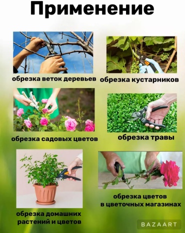 Фото 3