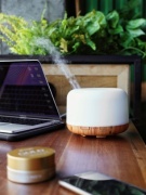 Увлажнитель воздуха KZ1-KQJSQ коричневый