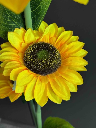 Фото 4