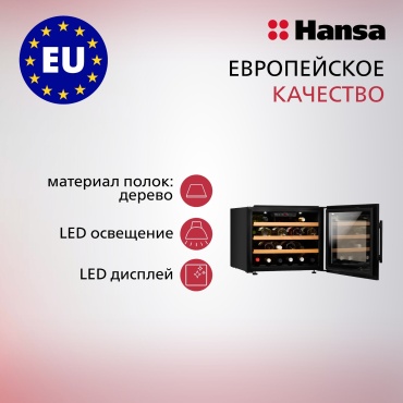 Hansa BWC60241B черный