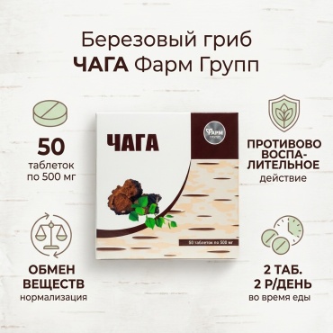 Березовый гриб "ЧАГА"