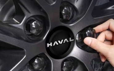 2025101009 заглушка 19.5 серый 1 шт для легкового автомобиля