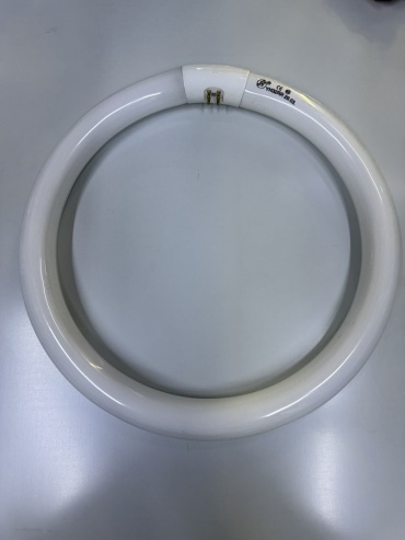 Лампочка 32W G10Q, люминесцентная, холодный белый