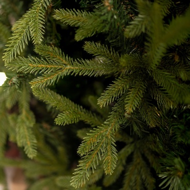 Фото 9