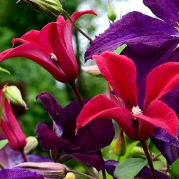Фото 2