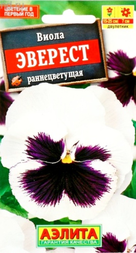 Аэлита виола Виттрока Эверест