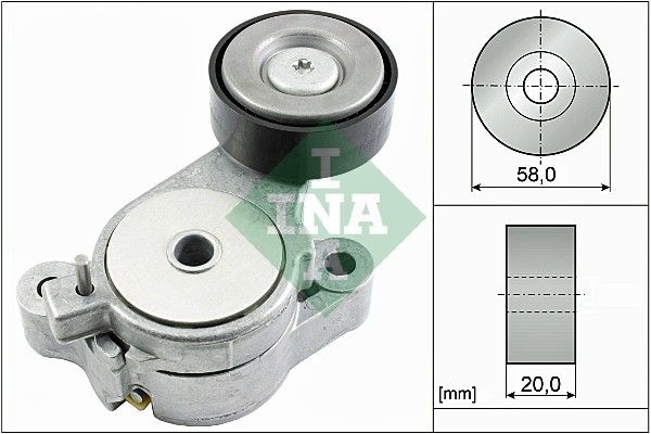 INA ролик 534039610