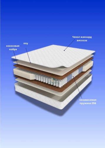 Фото 2