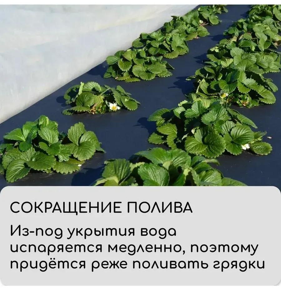 Укрывной материал 4712462V7, спанбонд