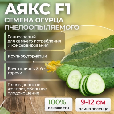 Nunhems огурец F1 Аякс / Ajax ( 50 проф.семян )