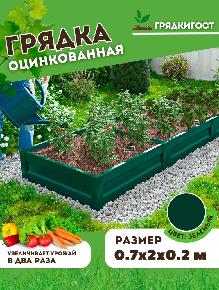 Грядка 280674335 зеленый