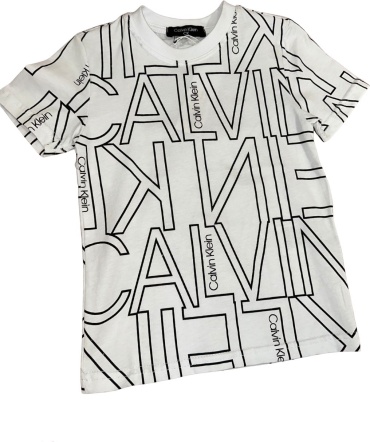 Футболка Логотип Бренда Calvin Klein белый