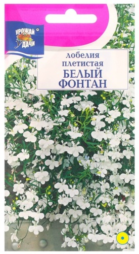 Урожай удачи лобелия "Белый фонтан"