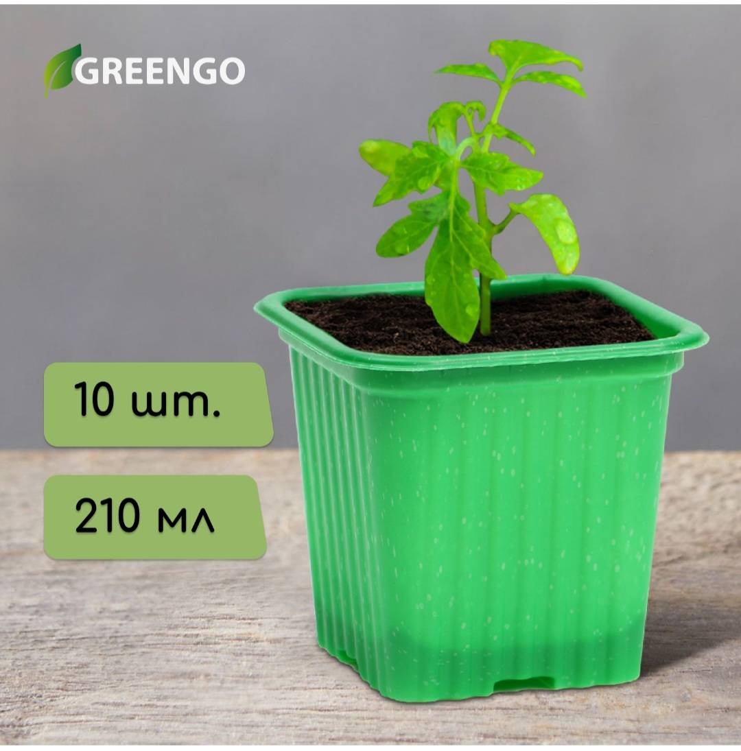 Greengo горшок для рассады 10 шт, пластик