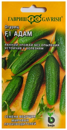 Гавриш огурец Адам F1