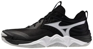 Кроссовки Mizuno 251254 черный
