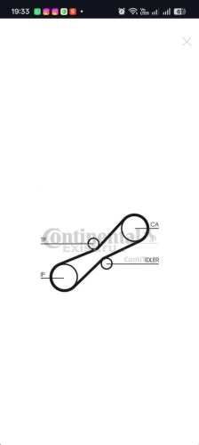 Continental ремень ГРМ Ct 791
