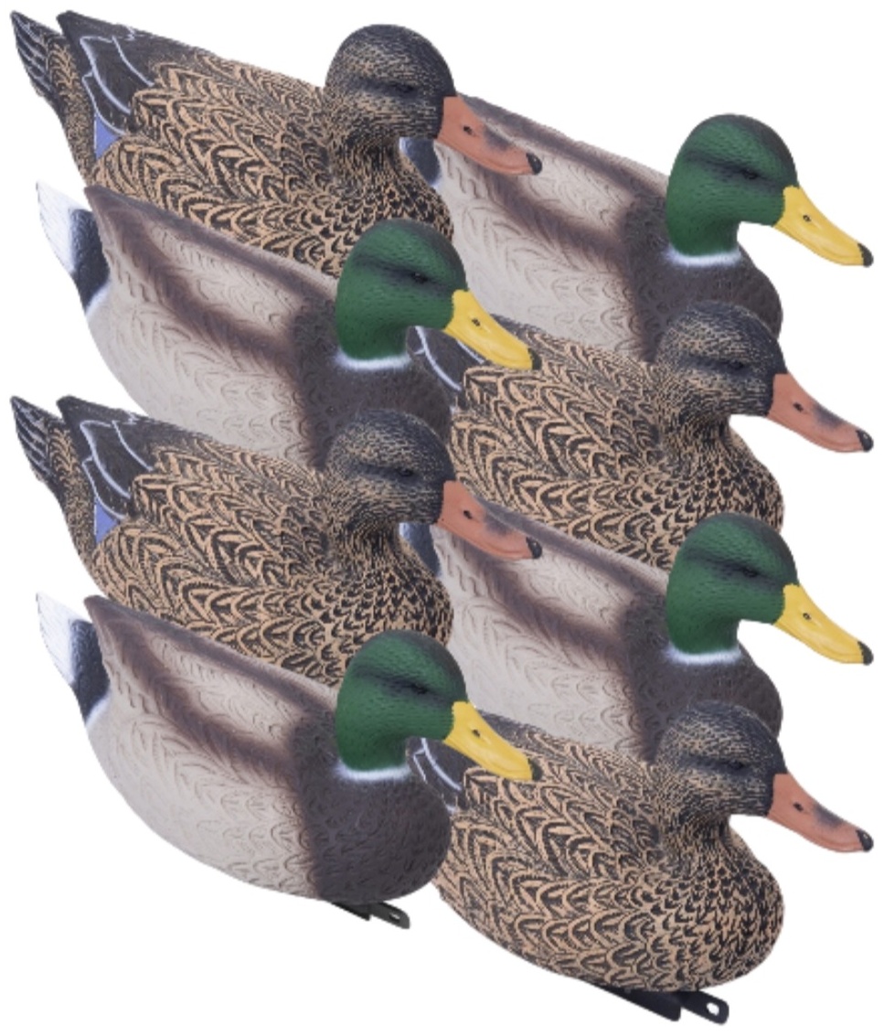 Чучело Wild Duck кряква, селезень, утка (3 селезня и 3 утки)