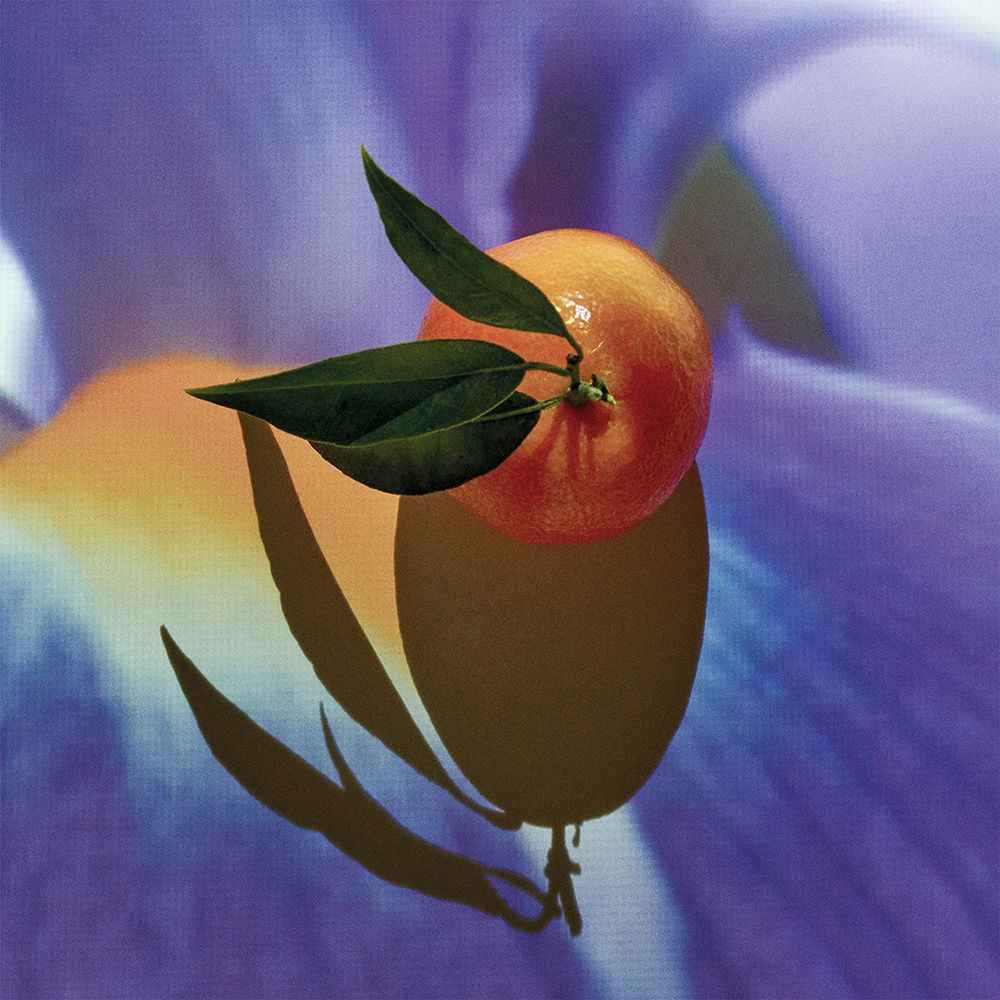 Фото 3