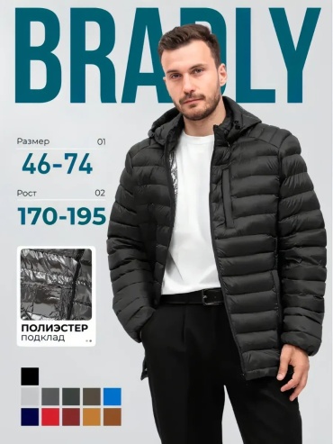 Зимняя куртка BRADLY черный