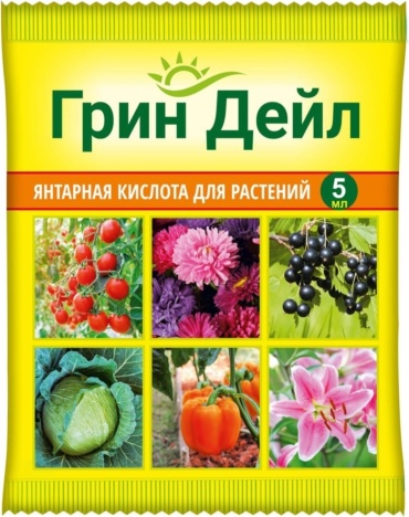 Янтарная кислота
